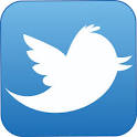 logo.twitter